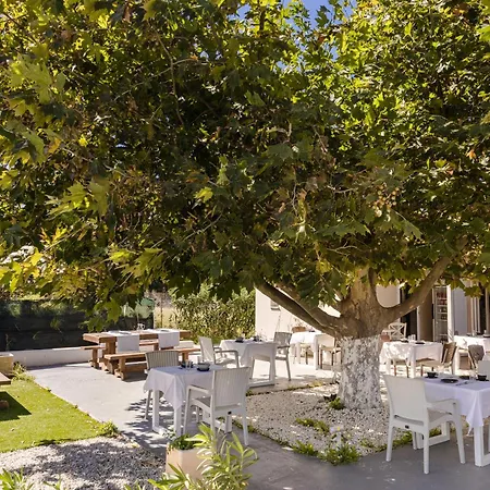 Bed & Breakfast Sofi
